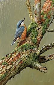 novosti painting oil oilpaintin art tiere malen vogel kunst acrylmalerei tiere