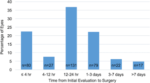 Retinal detachments may initially be localised, but without treatment. Fovea Sparing Rhegmatogenous Retinal Detachments Impact Of Clinical Factors Including Time To Surgery On Visual And Anatomic Outcomes Springerlink