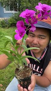 ดูนี่ก่อน น้ำหอมกล่องหรูมาก #น้ําหอม #Carlotta #Ambergris