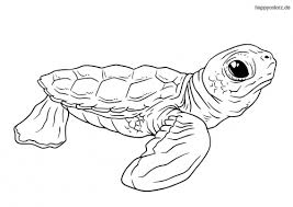 Schildkrote Malvorlage Kostenlos Schildkroten Ausmalbilder