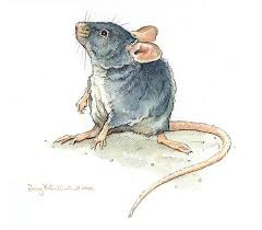 Pin By Joy Kingsley On Ink And Watercolor Animal Art Mouse Illustration Watercolor Animals