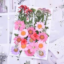 Get great deals on ebay! Wholesale Pressed Flowers Buy Cheap In Bulk From China Suppliers With Coupon Dhgate Com