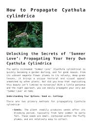 Image result for Cyathula cylindrica