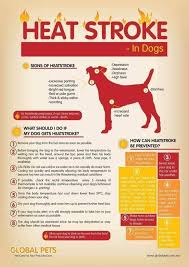 7941 winchester rd, memphis, tn 38125. Memphis Animal Emergency Home Facebook