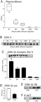 Assessment | biopsychology | comparative | cognitive | developmental | language | individual differences | personality | philosophy | social | methods | statistics | clinical | educational | industrial | professional items | world psychology |. Inhibition Of Glycogen Synthase Kinase 3 By Lithium Correlates With Reduced Tauopathy And Degeneration In Vivo Pnas