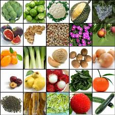 Pin On Vegetable Abc S
