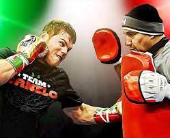Pin On Boxing