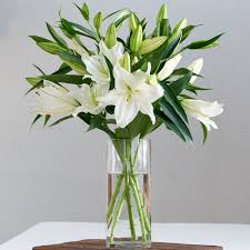Pin On Floral Arrangement