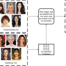 Every week we update easyhairstyler with the hottest hairstyle trends so sign up now and try every week the newest. Pdf A Hybrid Approach To Building Face Shape Classifier For Hairstyle Recommender System