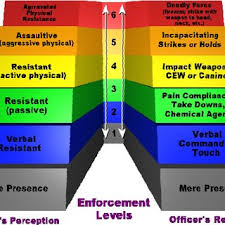 Orange County Sheriffs Office Use Of Force Matrix Download