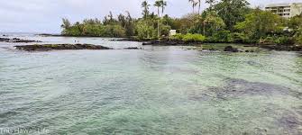 It's a large and well protected white sand lagoon. Carlsmith Beach Park This Hawaii Life