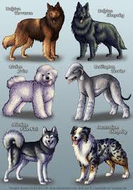 pin na doske 200 canis dog sobaka