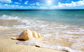 Lớp Văn Thầy Nhật - SÓNG CÒN MÃI NỔI SÓNG CỦA XUÂN ...