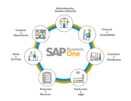 Reliable Sap Implementation Partners Now Availed In Your Town Consulting Companies Sap Business