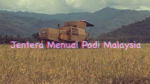 Alif terkenang akan perbualan dia dengan ayahnya suatu ketika dahulu. Jentera Menuai Padi 2020 Malaysia Youtube