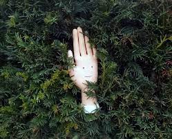 Better one byrde in hande than ten in the wood. Alex Norris On Twitter A Hand In The Bush Is Bird Two In The Worth