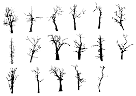 17 Dead Tree Silhouette Png Transparent Onlygfx Com Pine Tree Drawing Tree Silhouette Pine Tree Art