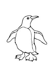 Ausmalbild Junger Neugieriger Pinguin Zum Kostenlosen Ausdrucken Und Ausmalen Fur Kinder Ausmalbilder In 2020 Tiere Zum Ausmalen Ausmalbilder Ausmalbild Pinguin