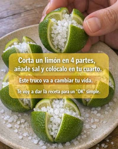 Colocar Limones con Sal en el Dormitorio: Beneficios Sorprendentes para el  Ambiente y el Bienestar
