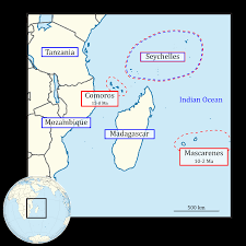 Image result for Zygophlebia villosissima