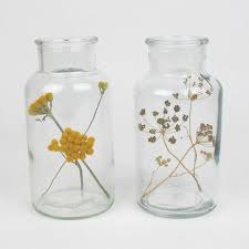 We did not find results for: Bell Jar Duo With Dried Flowers