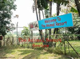 Chill with a kangaroo or tortoise or cuddle a piglet with our various petting zoos from the exotic, farm or little. The Animal Resort Singapore Seletar West Farmway Review The Wacky Duo Singapore Family Lifestyle Travel Website