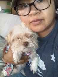 Good afternoon 🔅 Guys, cornex snuggle