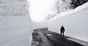 Image result for Hakkoda Walk