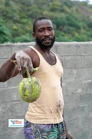Caribbean News Faces Of The Displaced In St Vincent