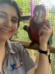 Parrot Life Behaviour and Training