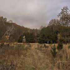Pin By Elysia Stephenson On In The Woods Aspel Nature Aesthetic Scenery Landscape