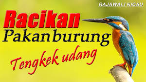 Klik pada gambar thumbail untuk mengunduh gambar ukuran penuh. Pakan Burung Tengkek Udang Contoh Lif Co Id