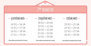 À ce stade de votre grossesse, vous pouvez ressentir plus de douleurs alors que votre ventre grossit, et vos pieds peuvent gonfler un peu. 2e Trimestre De Grossesse Quelles Semaines Echographie Et Examens