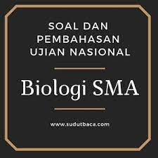Maybe you would like to learn more about one of these? Soal Kunci Dan Pembahasan Un Biologi Sma 2018 Sudut Baca