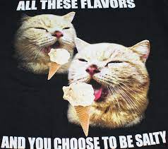 All these flavors and you choose to be salty with cat. Bioworld Cat T Shirt For Men Ice Cream All These Flavors You Choose To Be Salty