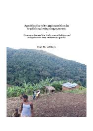 Image result for Vernonia kirungae