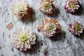 Of sugar in the water so they can last longer. Tried And Tested How To Make Fresh Flowers Last Longer Gardenista