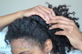 It works for almost everyone who wishes to rock it, no matter their texture, shade, or preference. 4 Half Up Half Down Hairstyles For Natural Hair Natural Hair Rules