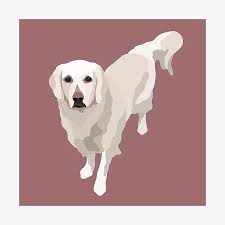 Philippe lebeaux / getty images there are at least a dozen white dog breeds. White Labrador Dog Portrait Digital Illustration Photographic Print By Sherylwylie Redbubble