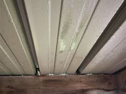 Run electrical wiring to the shed roof for light fixtures. How To Stop Your Metal Roof Sweating