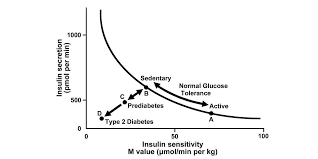 Crossfit Metabolic Syndrome And Insulin Resistance Underlying Causes And Modification By Exercise Training