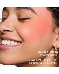 Dior Blush My Rose Limited Edition] CD Dior Rouge Blush (#211 Precious Rose  #621