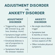 Image result for Adjustment Disorder