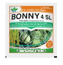 Bonny 4SL
