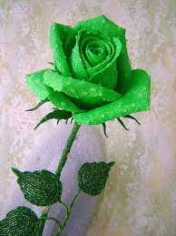 Top 10 Most Beautiful Green Roses Green Rose Rose Flower Wallpaper Beautiful Rose Flowers