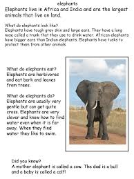 Maybe you would like to learn more about one of these? Elephants Elephants Live In Africa And India And Are The Largest Animals That Live On Land What Do Elephants Look Like Elephants Have Tough Grey Skin Ppt Download