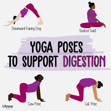 Yoga Poses To Support Digestion In 2020 Twist Yoga Yoga Poses Cow Pose