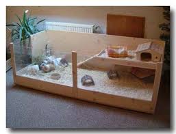 Rechteck Kafig Fur Meerschweinchen In 2 Grossen L Und Xl Xoppla Meerschweinchen Meerschweinchenstall Meerschweinchen Gehege