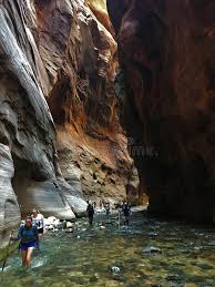 Zion narrows to wall street trail guide. Wall Street Zion National Park Photos Free Royalty Free Stock Photos From Dreamstime