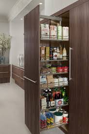 Alacena Cubierta Para Cocina Cocinas Modernas Cocinas Remodelacion De Cocinas